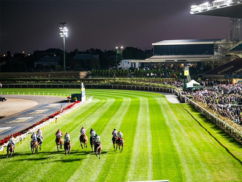 Friday racing tips for Moonee Valley Best odds Value bets