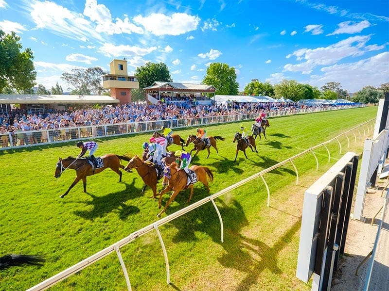 Wodonga racing