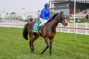 Randwick Saturday Races Horse Betting Tips & Preview