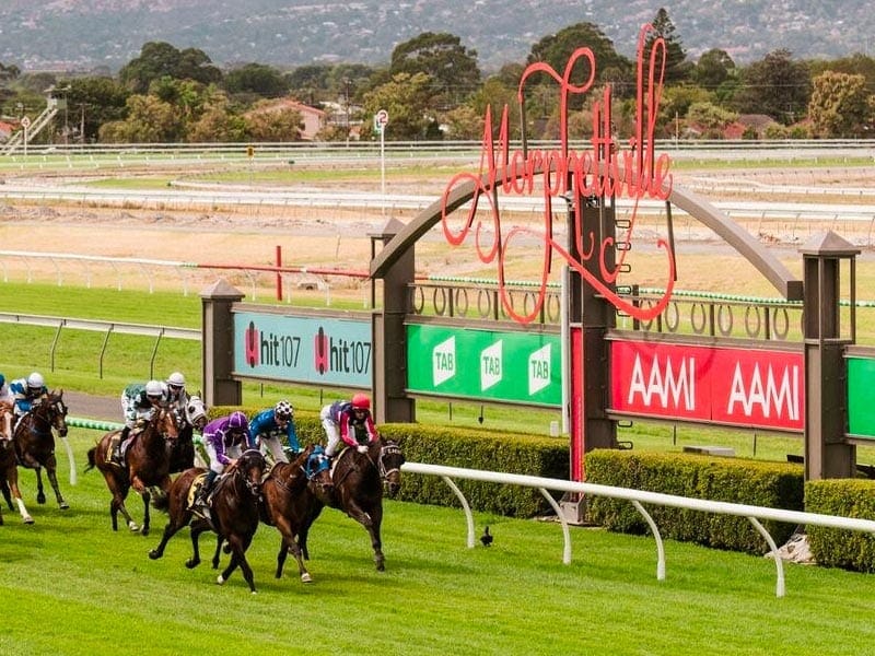 Morphettville racing tips, best bets and quaddie selections; April 24 racing preview