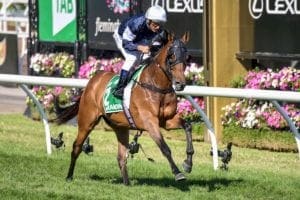 Almandin Who won the 2016 Melbourne Cup?
