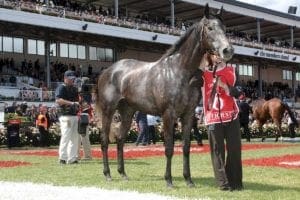 Efficent Who won the 2007 Melbourne Cup?