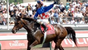 How many times has Barrier 14 won the Melbourne Cup?