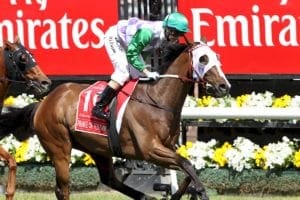 Prince Of Penzance Who won the 2015 Melbourne Cup?