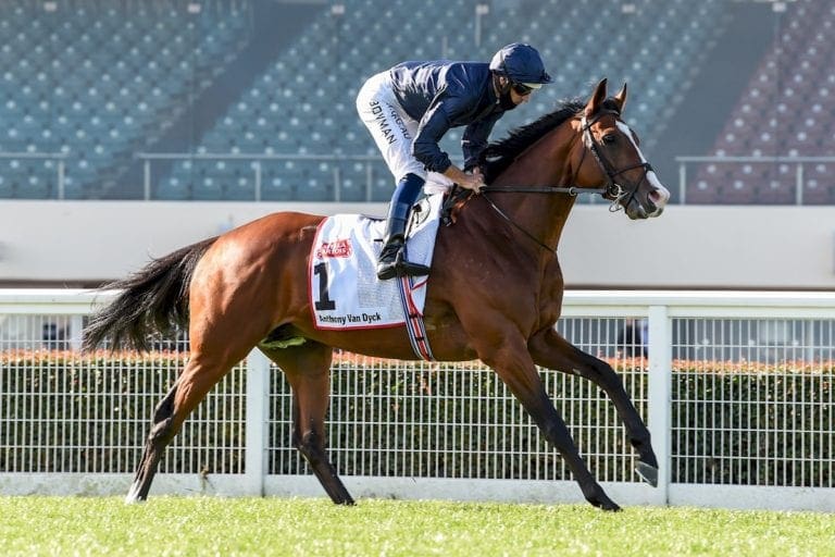 2020 Melbourne Cup horses All runners Latest odds Stats