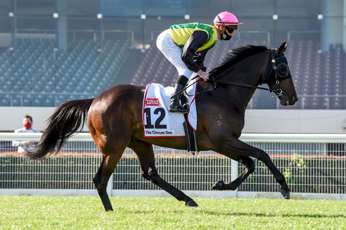 Can The Chosen One Win The 2020 Melbourne Cup?