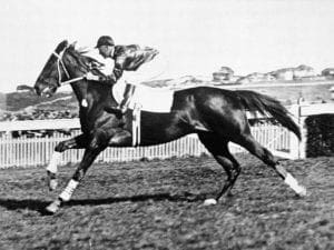 Phar Lap Phar Lap - Great Australian racehorses