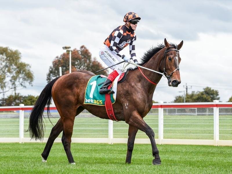 The Astrologist wins at Flemington