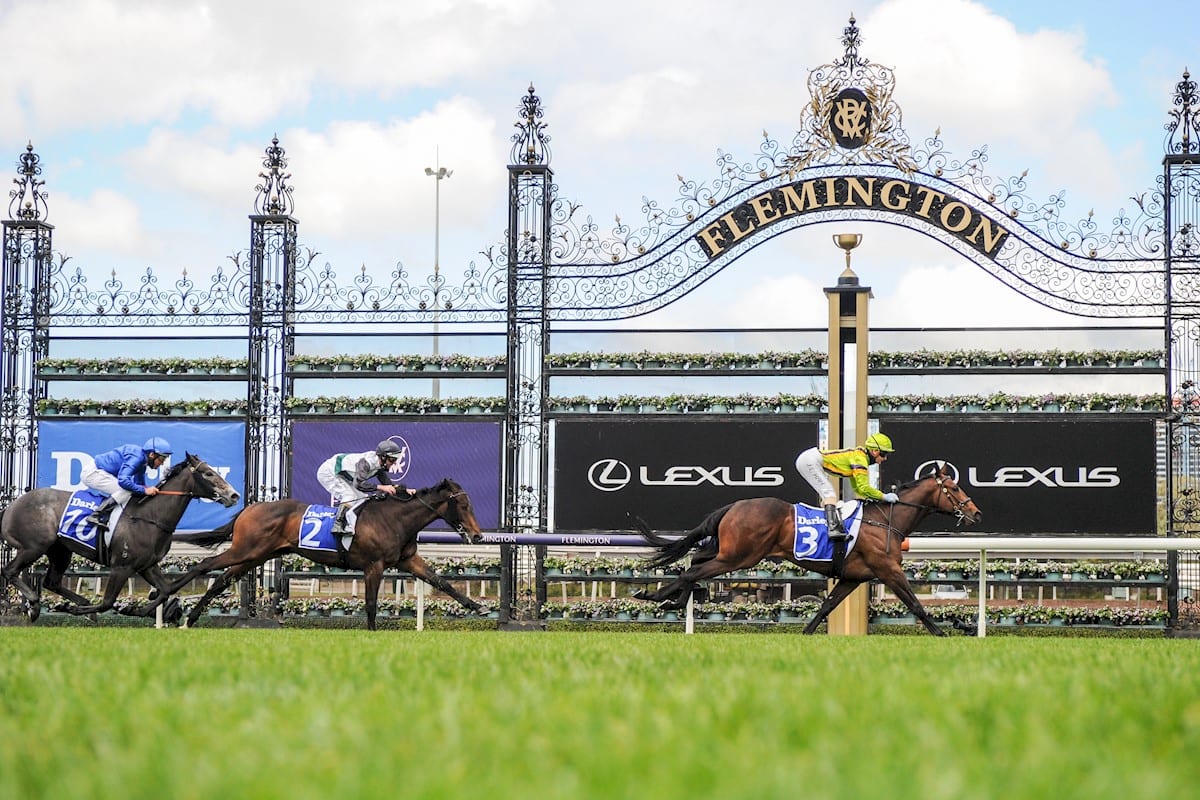 australia horse racing betting odds