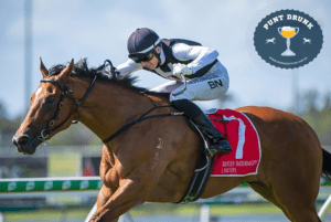 Punt Drunk : Magic Millions Narrowed Down To Isotope & Away Game