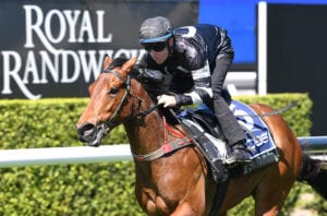 2021 Widden Stakes betting preview, top odds & best bets