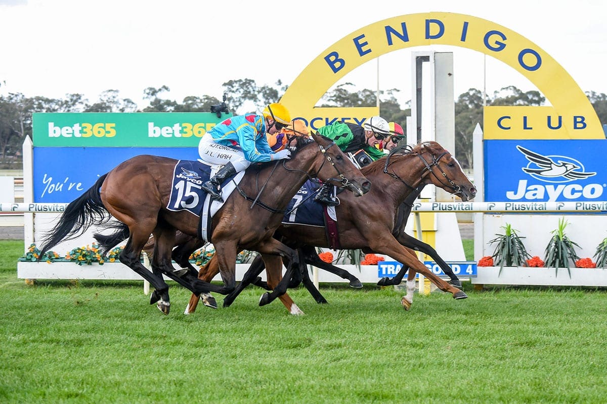 Bendigo Racecourse