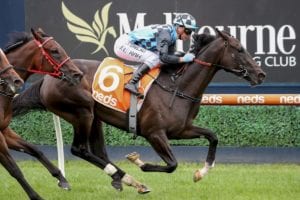 Kevin Hayes Stakes top betting tips & best odds | Caulfield 6/1