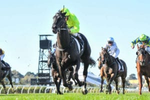 Birthday Cup preview, form, tips & odds | Morphettville