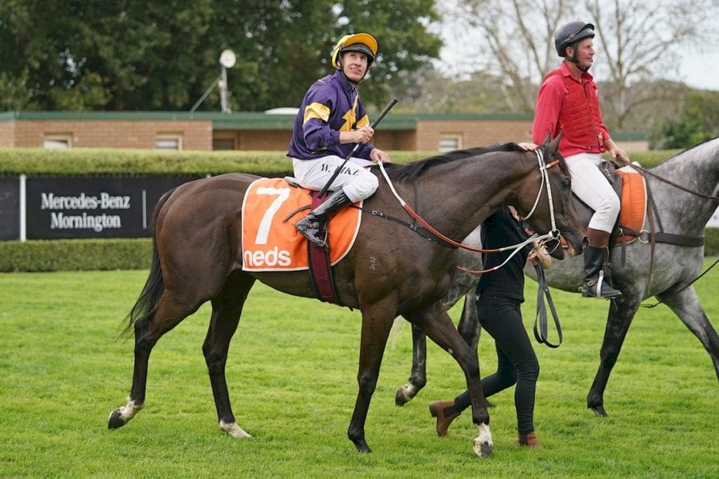 caulfield cup odds 2021
