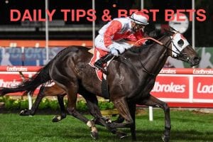Today's horse racing tips & best bets | March 24, 2021