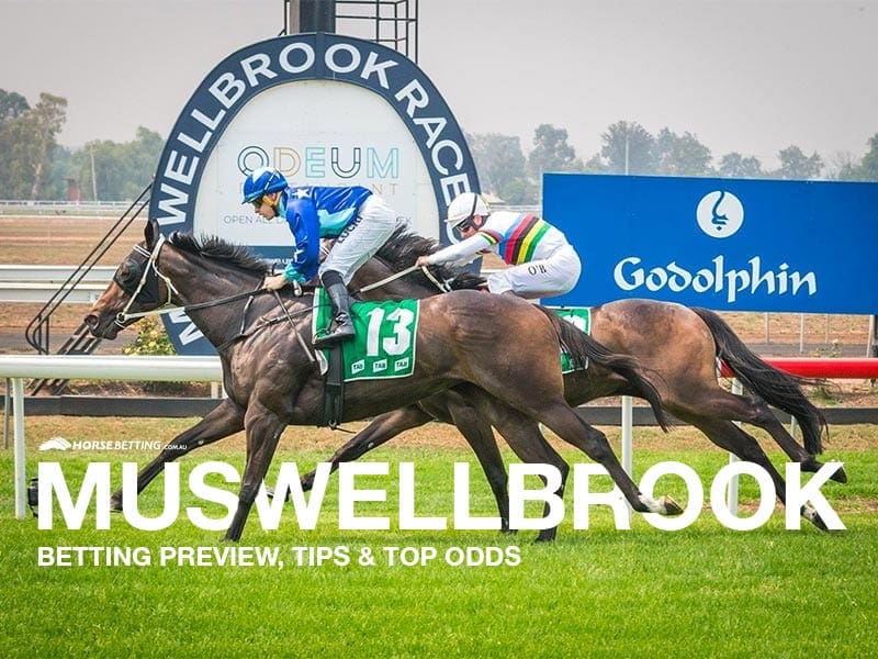 Muswellbrook Cup Day preview