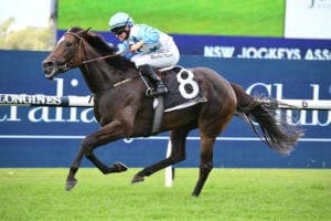 2021 Aspiration Quality racing tips & top odds | Randwick Race 9