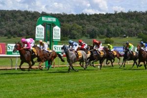 Wellington betting preview, tips & top odds | March 28, 2021