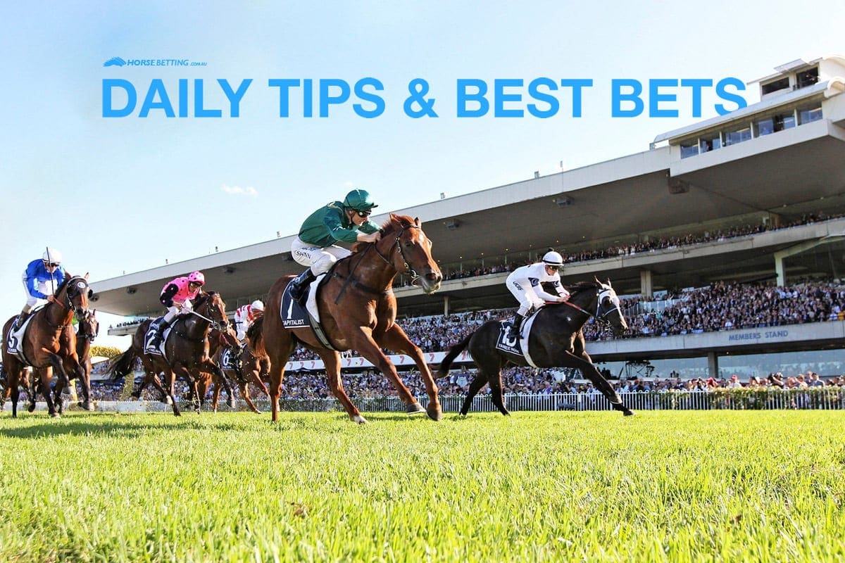 Rosehill Gardens tips