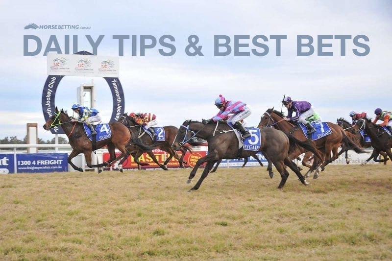 Horse Racing Tips