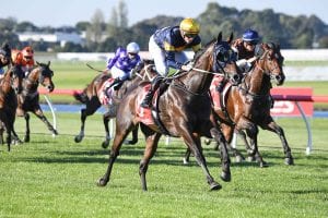 2021 Chairman's Stakes betting preview & tips | Morphettville