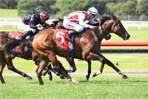 2021 Breeders' Stakes betting tips | Morphettville, Race 8