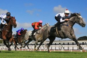 2021 Vinery Stud Stakes betting preview & tips | Saturday, 03/04
