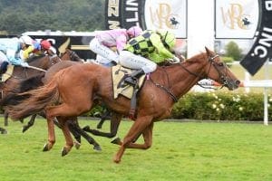 THAT'S-INCRANIBULL-WELLINGTON-23-1-2021---RACE-IMAGES-PHOTO-PETER-RUBERY Thatās Incranibull