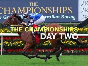 The Championships Day 2  race-by-race preview & tips | Randwick