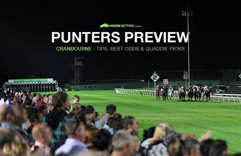 Punters Preview