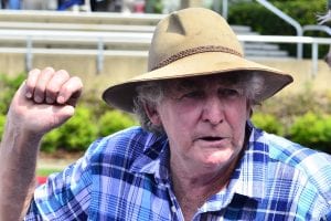 Queensland trainer Peter Kings under inquiry over race day treatment