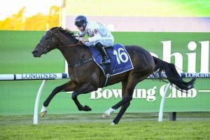 2021 Fred Best Classic betting preview & tips | Eagle Farm, R3