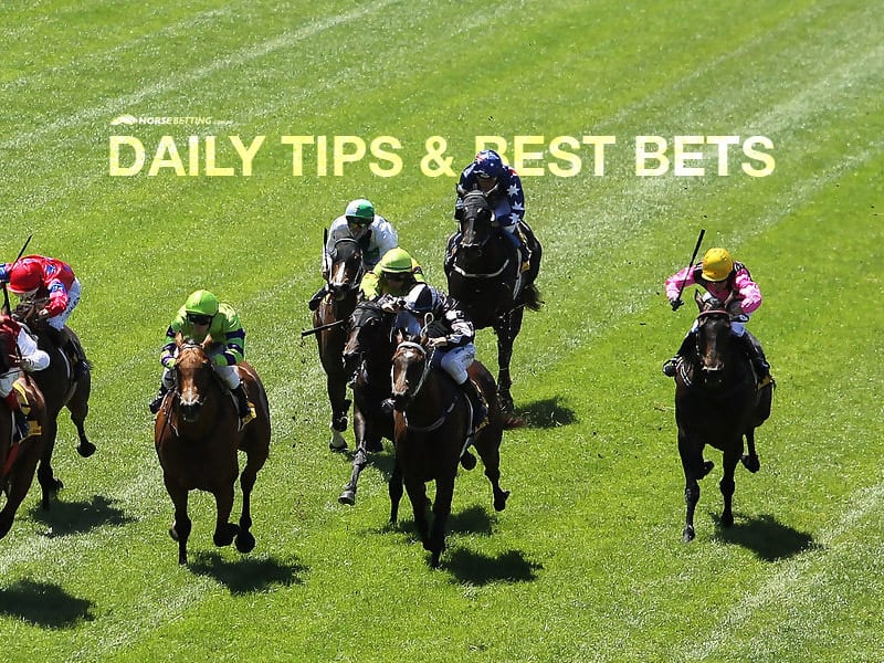Drejning offset løfte Today's Horse Racing Tips & Best Bets | May 23, 2021
