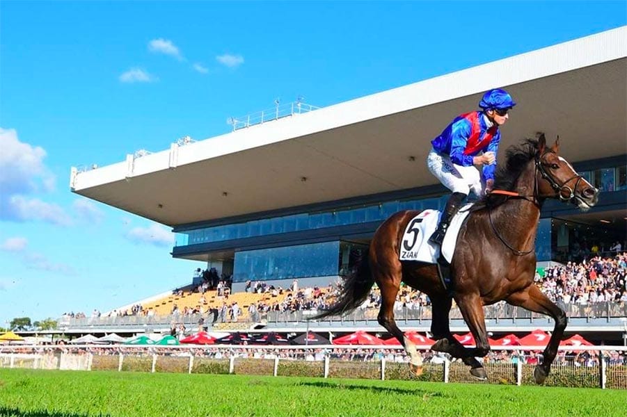 Zaaki is favourite heading into the Hollindale Stakes at Gold Coast