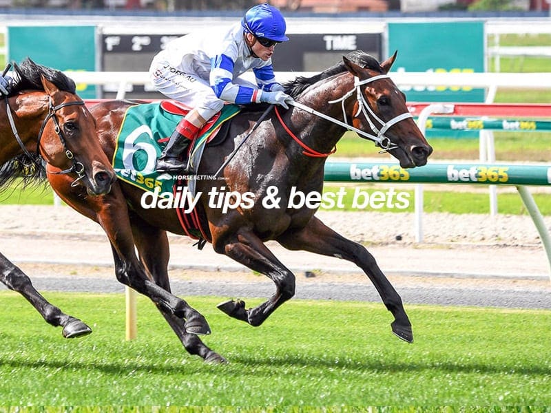 Geelong tips