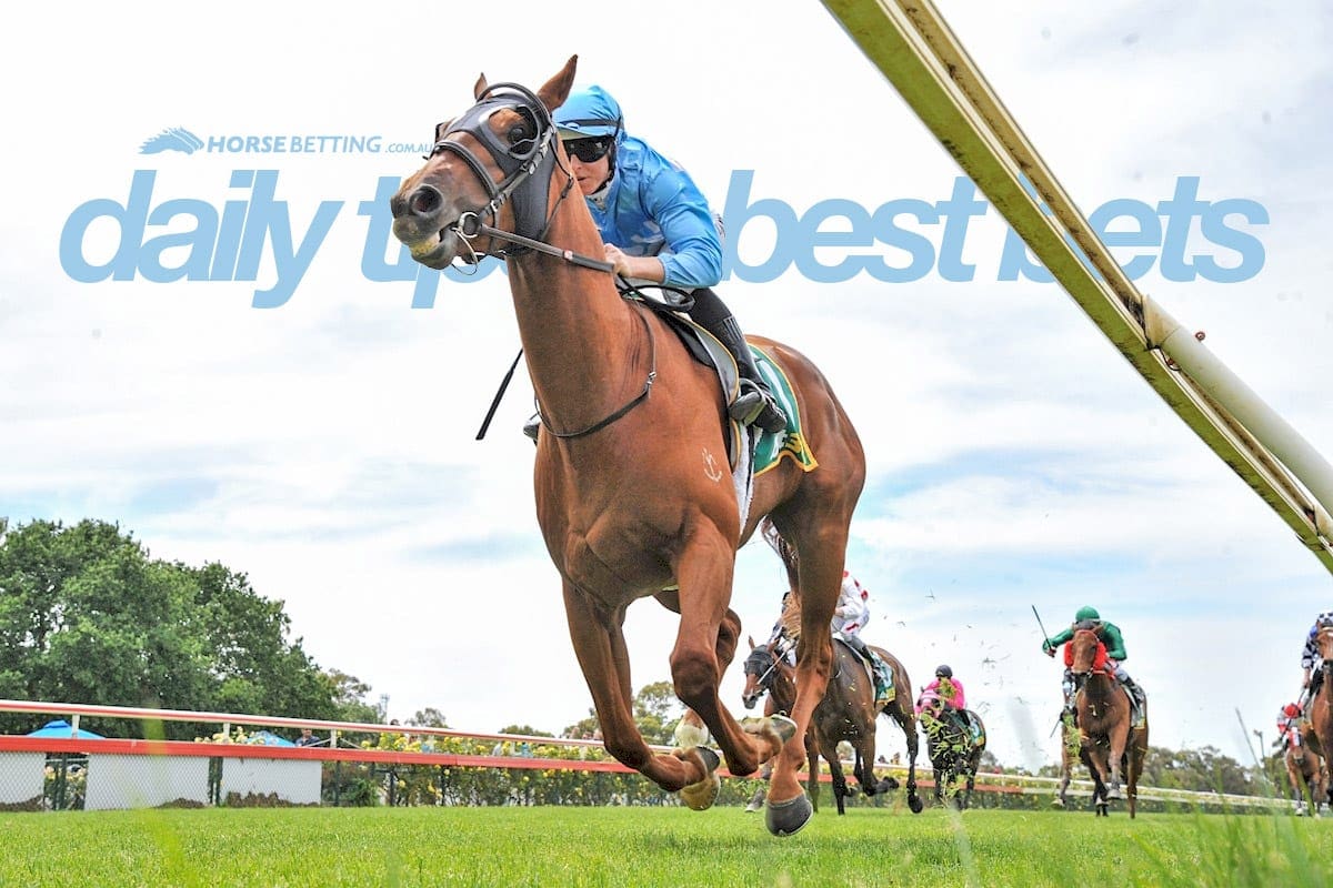 Coin Collector wins at Bendigo