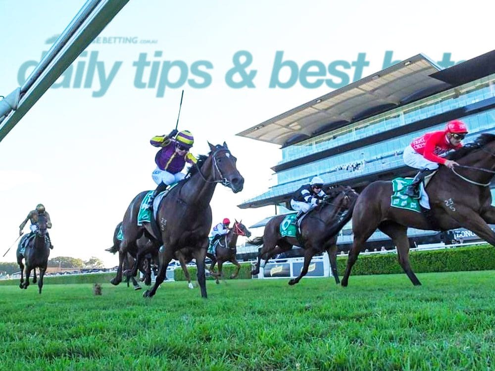 Daily Horse racing tips