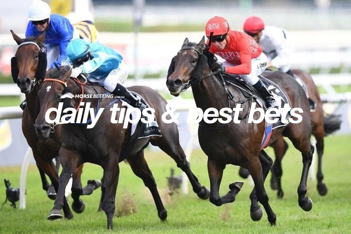 Daily Horse Racing Tips