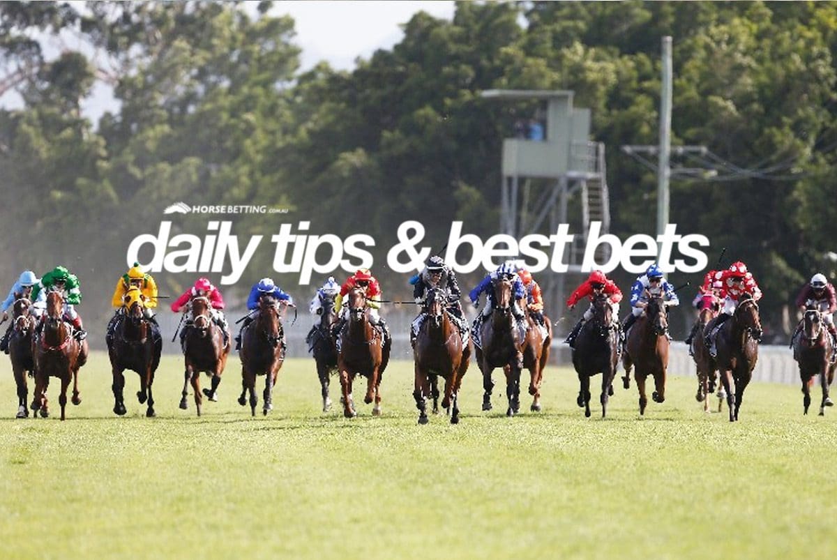Meddele tilskadekomne skal Today's Horse Racing Tips & Best Bets | September 19, 2021