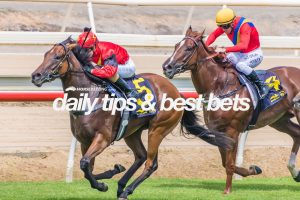 Wyong preview