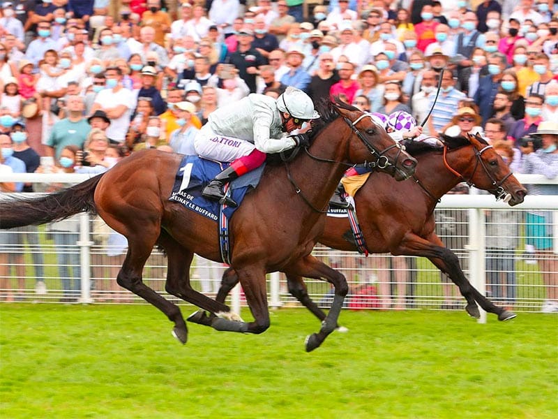 Palace Pier and Frankie Dettori