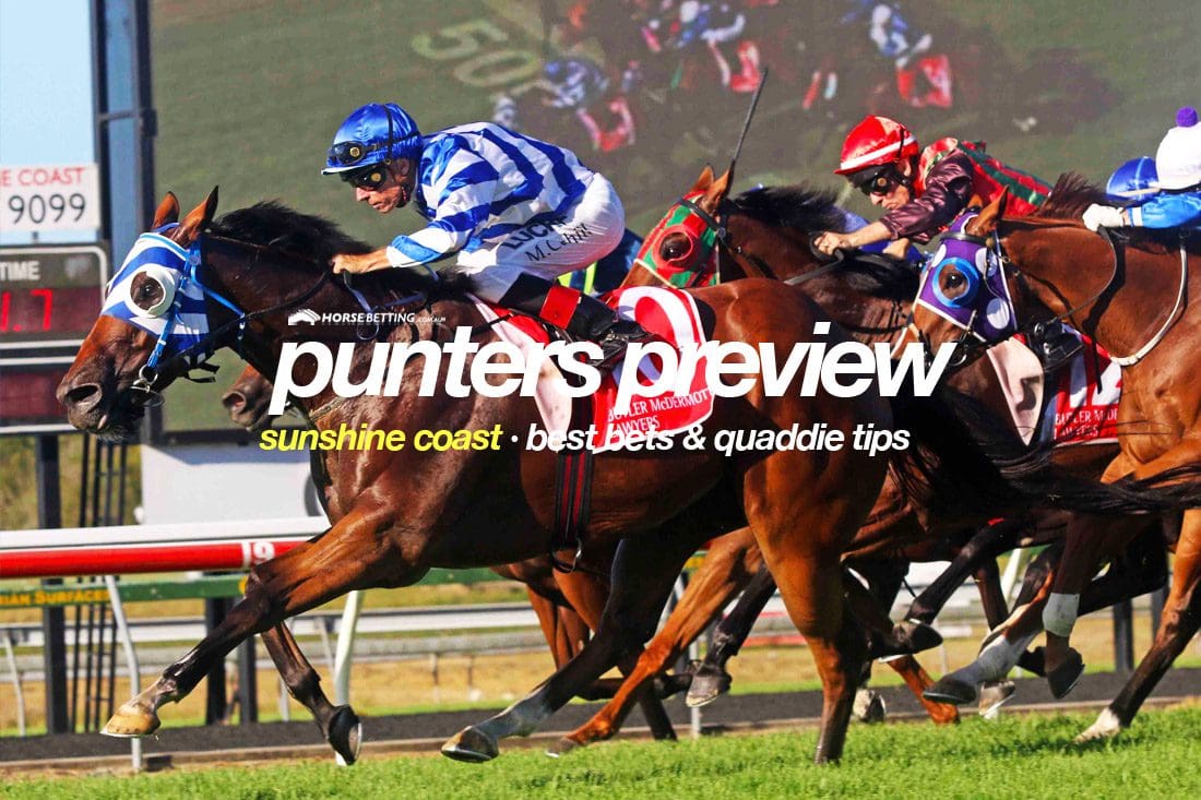 Sunshine Coast betting preview