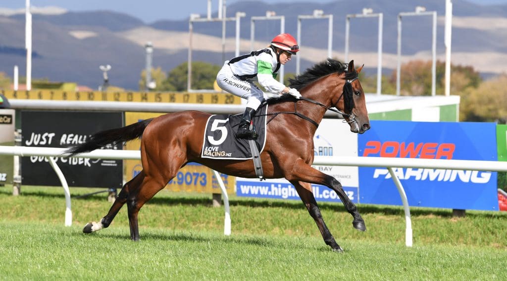 Horse Racing News Australia | AU Racing Headlines 2020