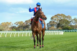 Zaaki makes it five in a row after securing 2021 Underwood Stakes