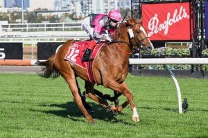 Gundec Gundec wins Derby Preview