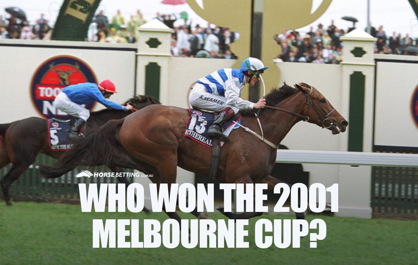 2001 Melbourne Cup Winner
