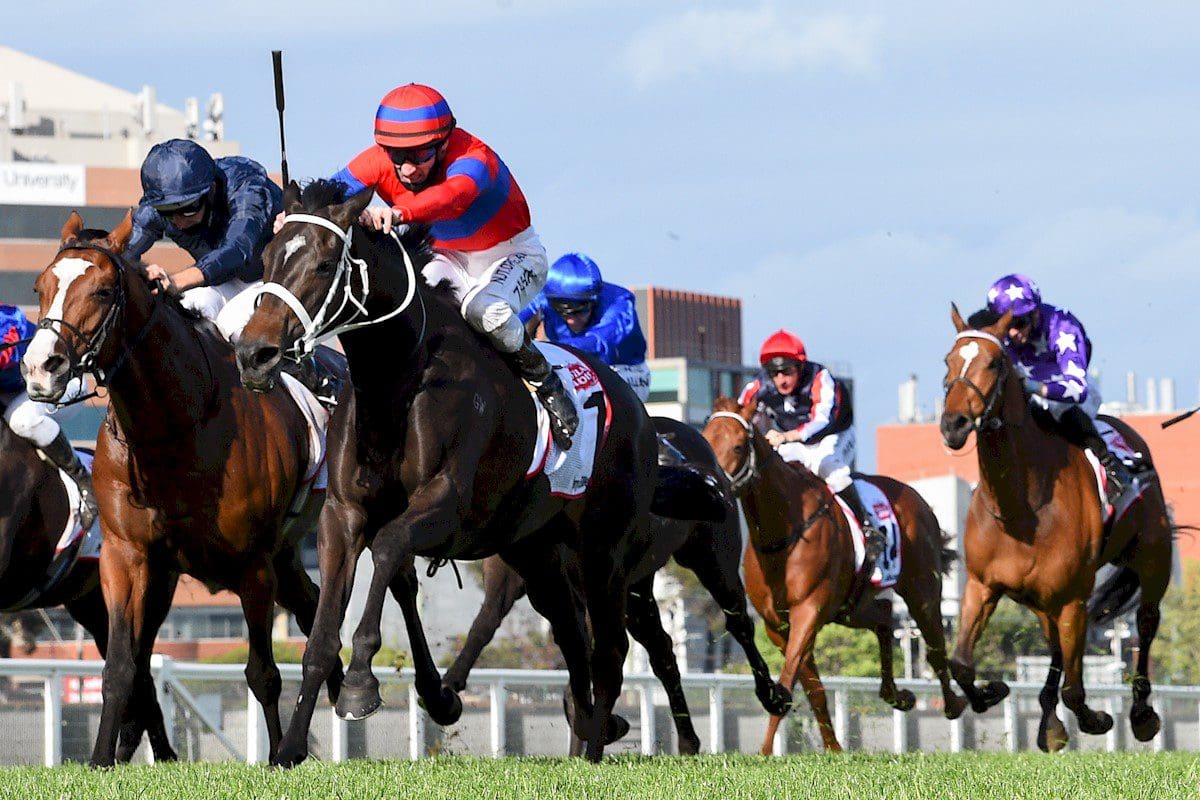 Verry Elleegant wins Caulfield Cup