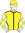 Jockey Silks