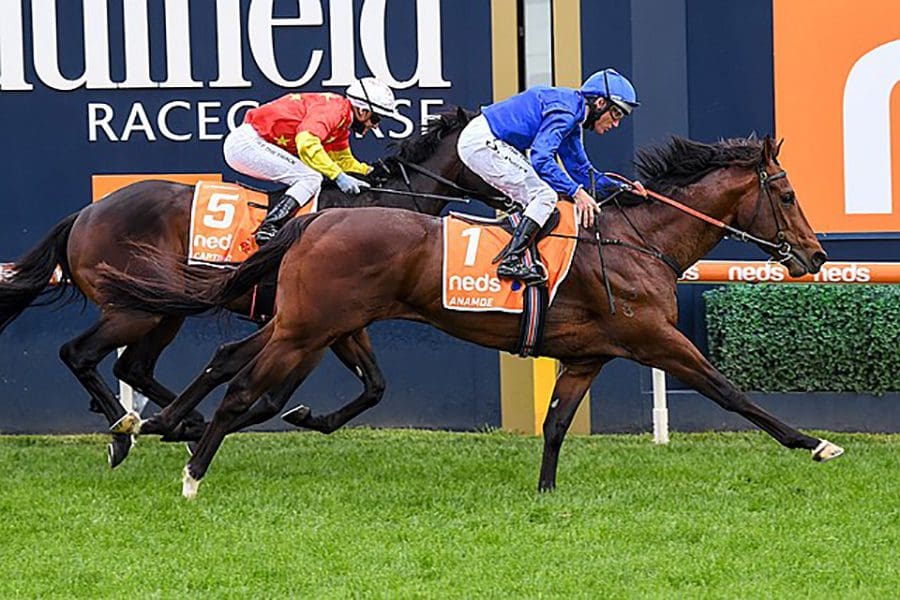 Zaaki Opens As $8 Favourite In 2022 Queen Elizabeth Stakes Betting